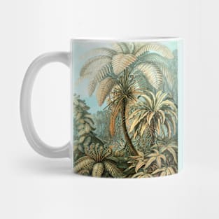 Filicinae by Ernst Haeckel Mug